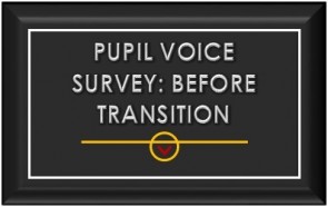 Pupil Voice Survey Before Transition