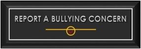 Report a Bullying Concern Button